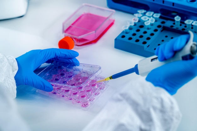 Corona Virus Vaccine Research Scientist Working in the Institute Laboratory Holding a micro pipette