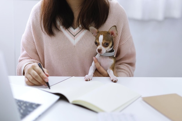 coronavirus business woman working from home with dog concept home quarantine prevention covid19 coronavirus outbreak