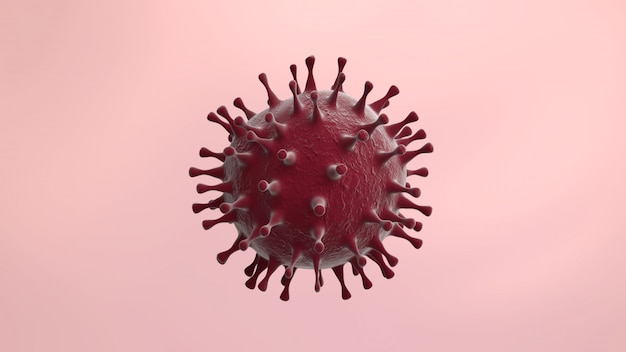 Coronavirus cell