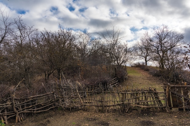 Corral for cattle fenced with wooden rods