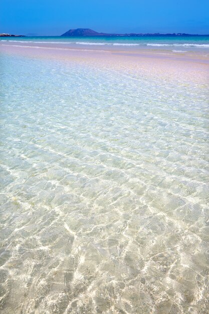 カナリア諸島のコラレホビーチフェルテベントゥラ島