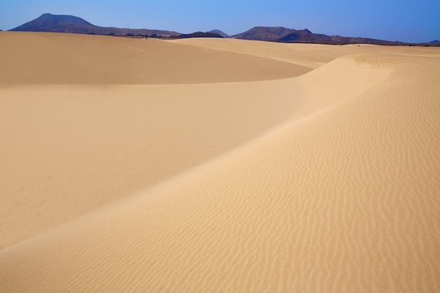 Corralejo duinen Fuerteventura eiland woestijn