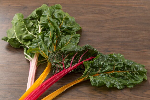 Photo corsage of chard leaves that has stems in yellow pink and red colors