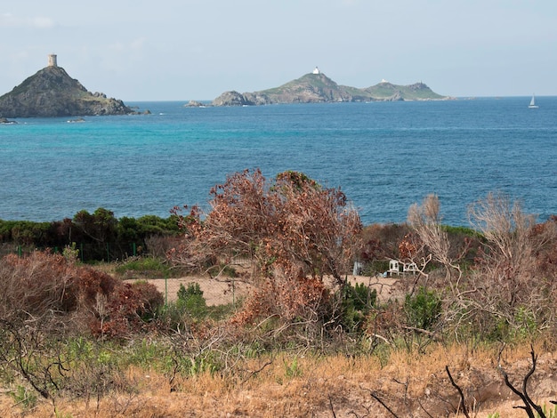 Photo corsica island