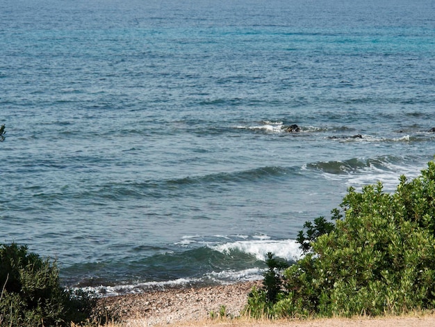 コルシカ島