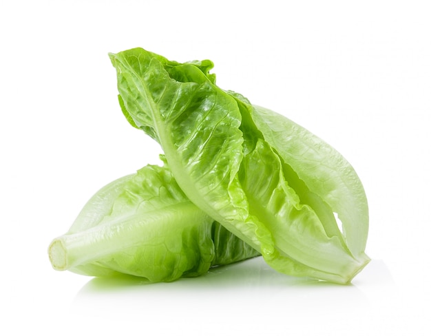 Cos Lettuce geïsoleerd