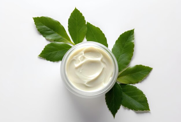 写真 白い背景に容器に入った化粧品クリームと新緑の葉