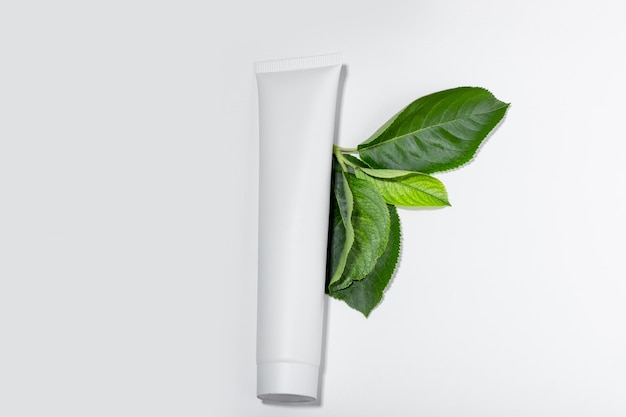 Cosmetic cream for moisturizing and cleansing the face Cream or face mask in white tubes and leaves of natural plants White bottle with empty space