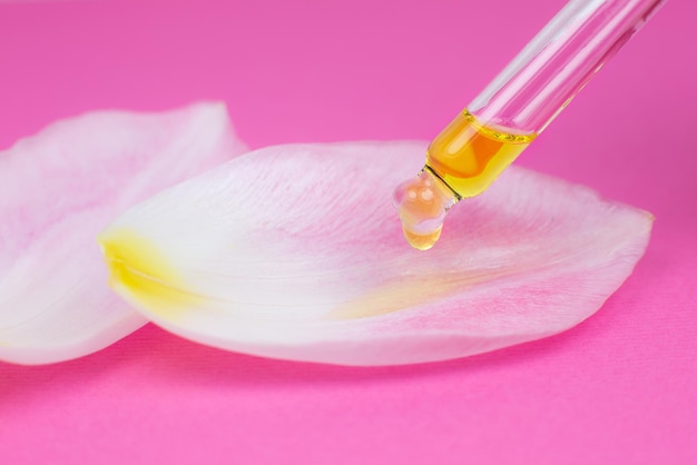 Cosmetic oil with a pipette on a pink background. Close up liquid drop dripping on Petal from a pink tulip flower. Beauty, medicine and  health care concept. Macro photo. Natural, eco cosmetics.