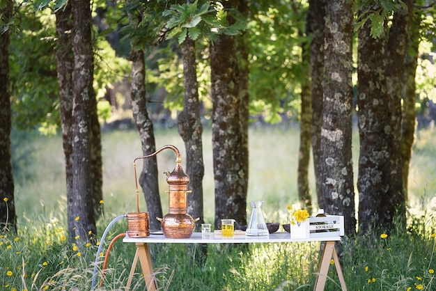 Cosmetic research work table in the forest