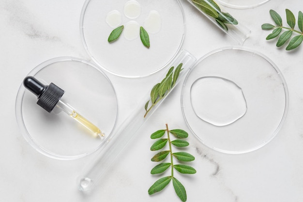 Foto cosmetica per la cura della pelle di fondo medicina a base di erbe con foglie verdi utensili chimici di vetro piatti di petri