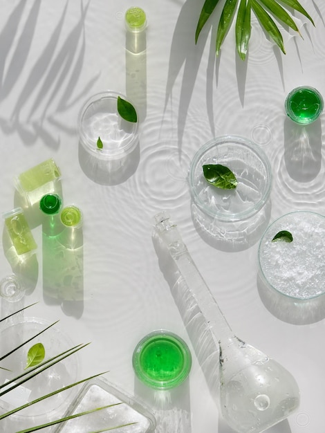 Cosmetic skincare background. Herbal medicine with green leaves. Natural sunlight, long shadows. Splashes of water, splashes. Chemical glassware, petri dishes, vials. Natural body care concept.