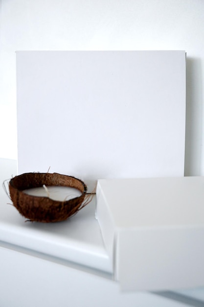 Photo cosmetic white boxes with coconut real photo template isolated on light grey