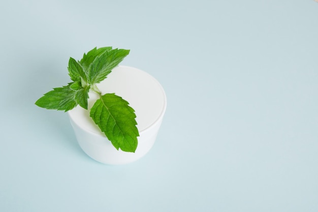 Foto vaso cosmetico crema bianca e menta fresca su sfondo azzurro. concetto di cosmetici biologici. concetto di prodotto cosmetico naturale. prodotto biologico per la cura della pelle