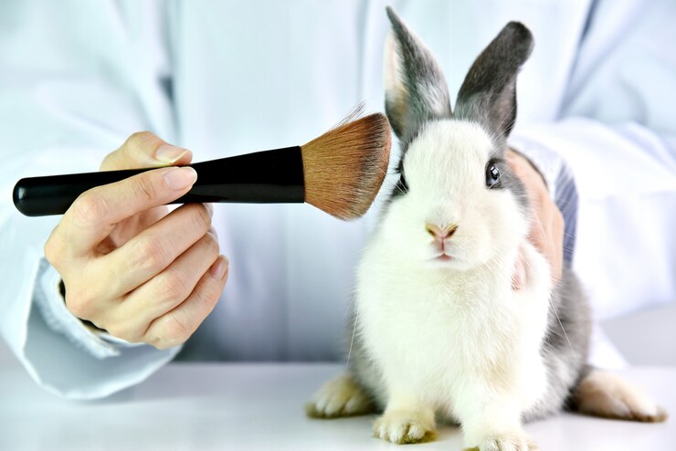 Cosmetics test on rabbit animal, Scientist or pharmacist do research chemical ingredients test on animal in laboratory