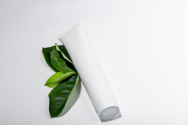 Cosmetische crème voor het hydrateren en reinigen van het gezicht Crème of gezichtsmasker in witte buizen en bladeren van natuurlijke planten Witte fles met lege ruimte