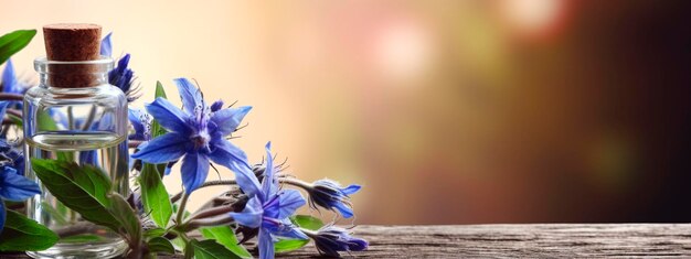 Cosmetische essentiële olie borage Generatieve AI Natuur