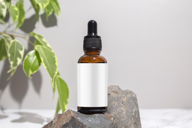 Cosmetische fles serumolie op stenen standaard met tak ficus op grijze achtergrond Natuurlijke cosmetica concept huidverzorgingsproduct Schoonheidsconcept voor gezichtsverzorging