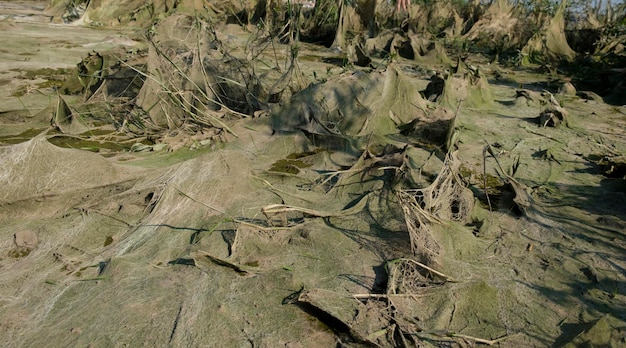 cosmic landscape of mud resulting after the low tide of the water level