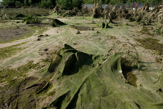 космический пейзаж из грязи, образовавшийся после отлива уровня воды