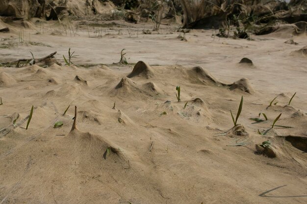 cosmic landscape of mud resulting after the low tide of the water level