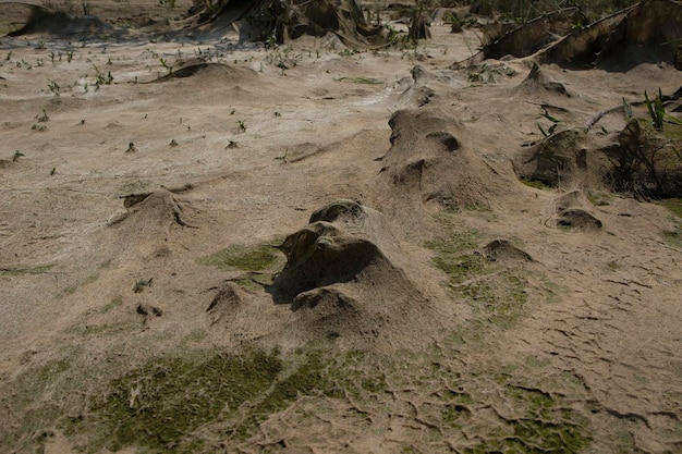 cosmic landscape of mud resulting after the low tide of the water level