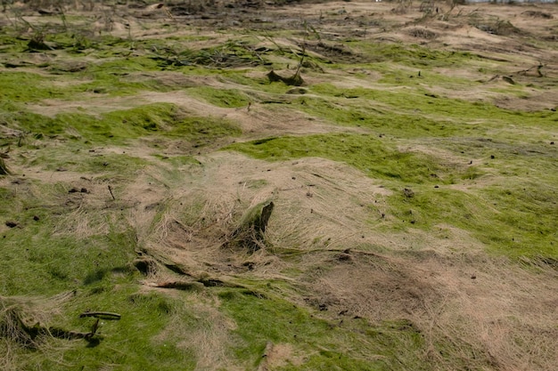 космический пейзаж из грязи, образовавшийся после отлива уровня воды