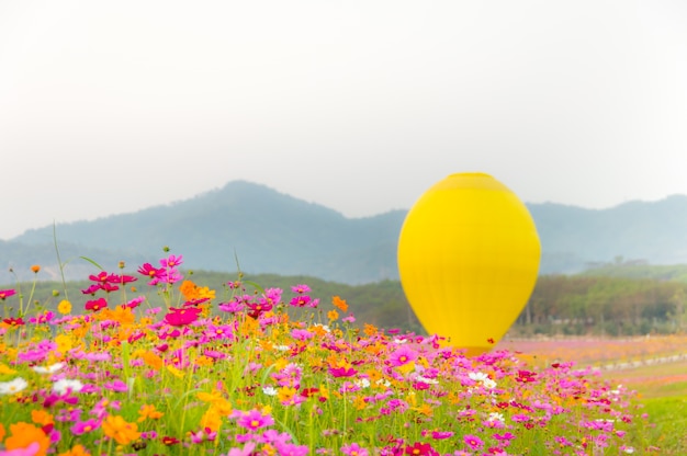 黄色の風船と山脈の背景とコスモスの花の庭