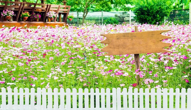 Foto segno di legno bianco rosa e bianco del recinto del fiore dell'universo