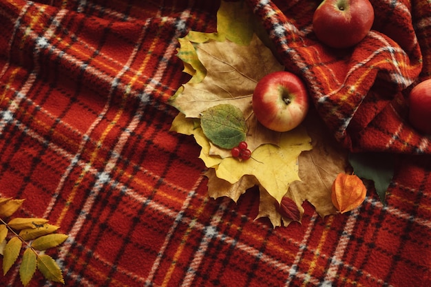 Cosy warm blanket. Autumn apples and fall leaves wall