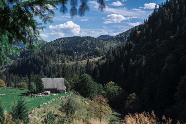 Cotage e le belle foreste panoramiche sullo sfondo del cielo nei carpazi, ucraina