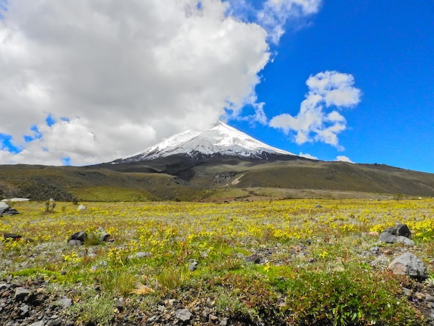 Photo cotopaxi volcano