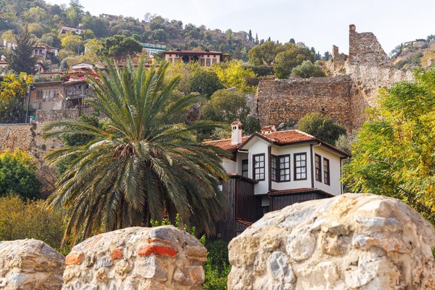 Photo cottage among palm trees on a hill in alanya turkey