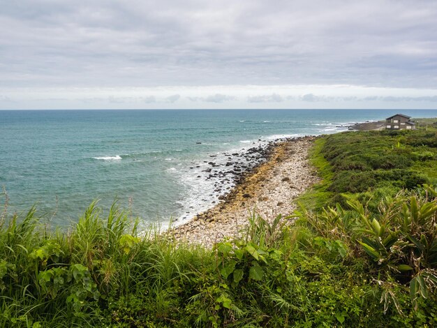 Foto cottage sul mare con cespugli di erba verde