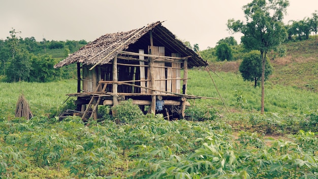 cottage in the farm