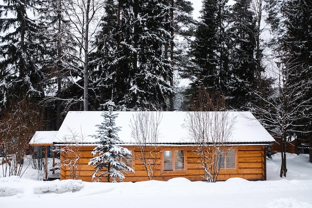 Cottage in the forest in winter country holidays in nature