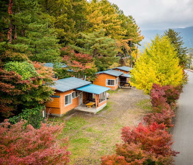 Cottage in the forest