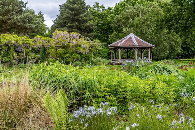 Cottage garden