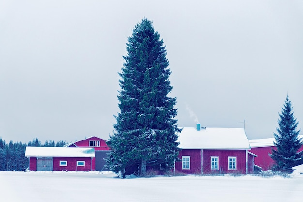 Photo cottage house at winter countryside in lapland, finland