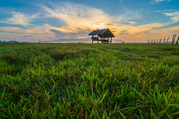 Cottage in morining