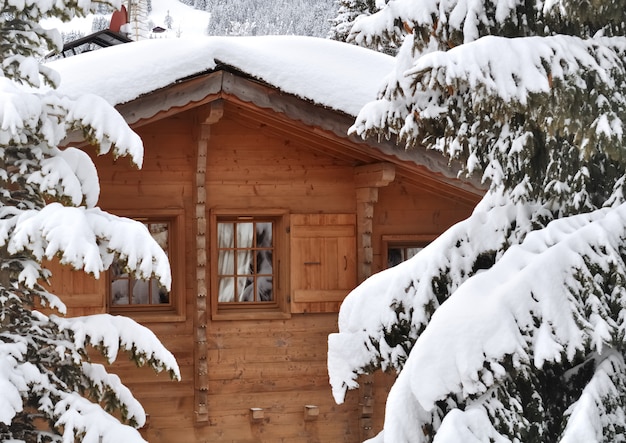 Cottage in abeti innevati