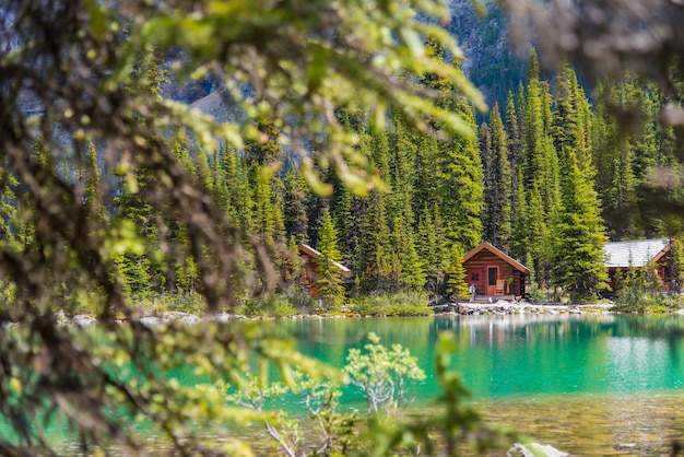 Foto cottage alla traccia di escursione del lago ohara nel giorno soleggiato in primavera, yoho, canada