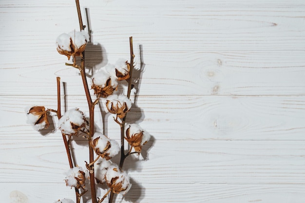 Foto ramo di cotone con fiori secchi da vicino