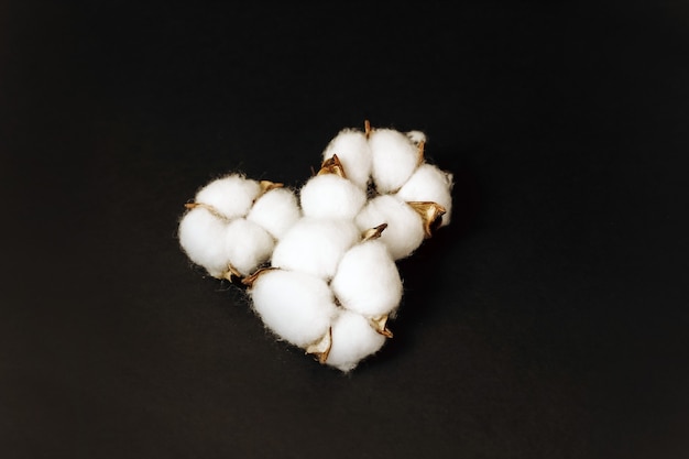 Cotton dry flower boxes on a dark background