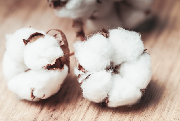 Cotton flower close up on wooden table