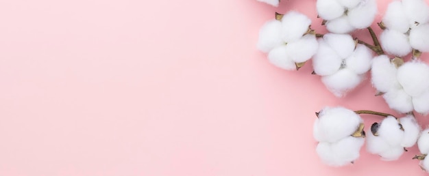 ピンクのパステルカラーの背景に綿の花ミニマリズム春の花の花のコンセプトフラットレイトップビューコピースペース