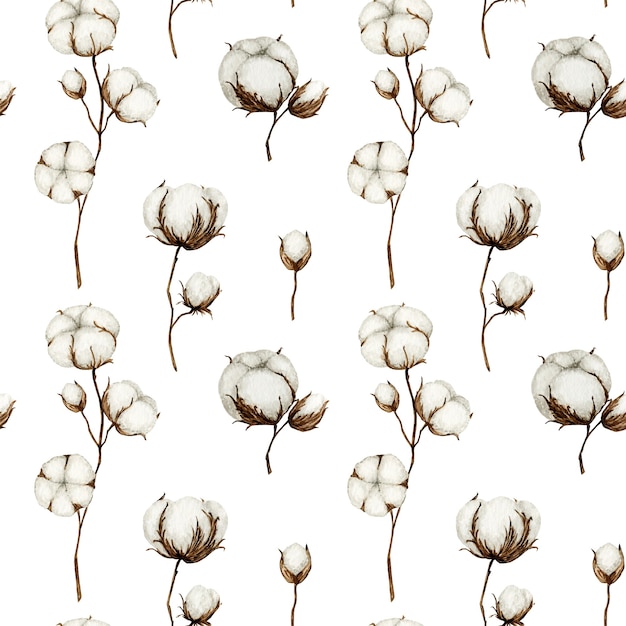 Photo cotton flower seamless pattern on white background