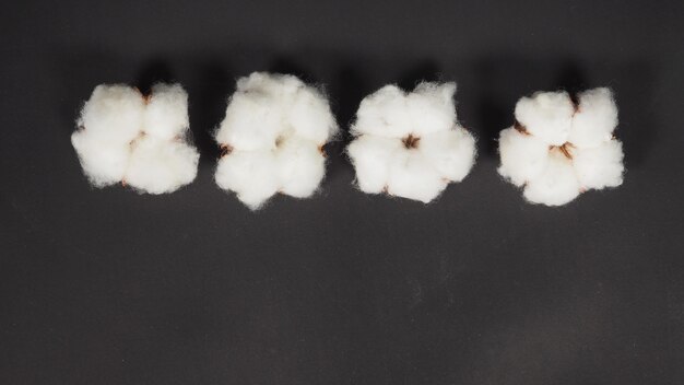 Cotton flowers on black background.