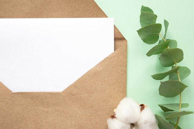 Photo cotton flowers and eucalyptus branch and envelope