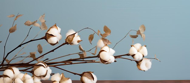 Cotton flowers and leaves branch on table